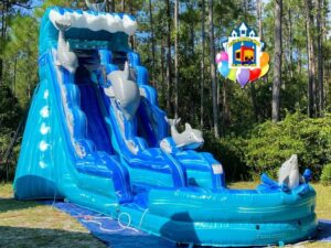 Dolphin Water Slide