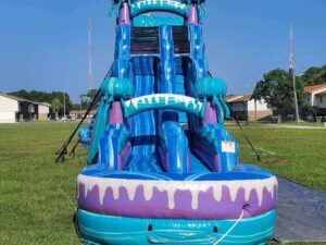 Jelly Fish Water Slide