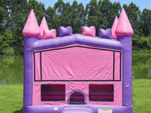 Bounce House - Purplish bounce